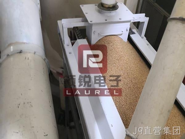皮带秤-粮食行业现场