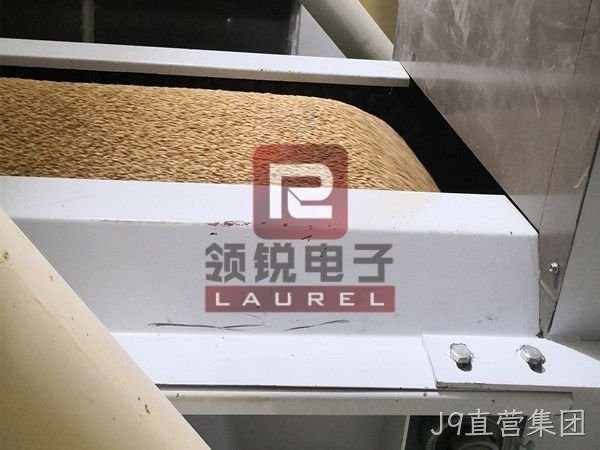 皮带秤-粮食行业现场